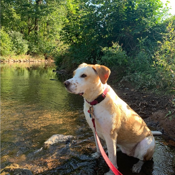 Meet Your Fellow Posher! ๐ - Picture 5 of 5